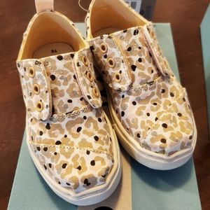 Tiny Toms Cordones Cupsole